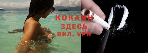 винт Богданович