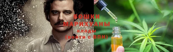 спиды Богородск