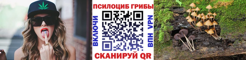 Псилоцибиновые грибы мухоморы  нарко площадка состав  Киржач 